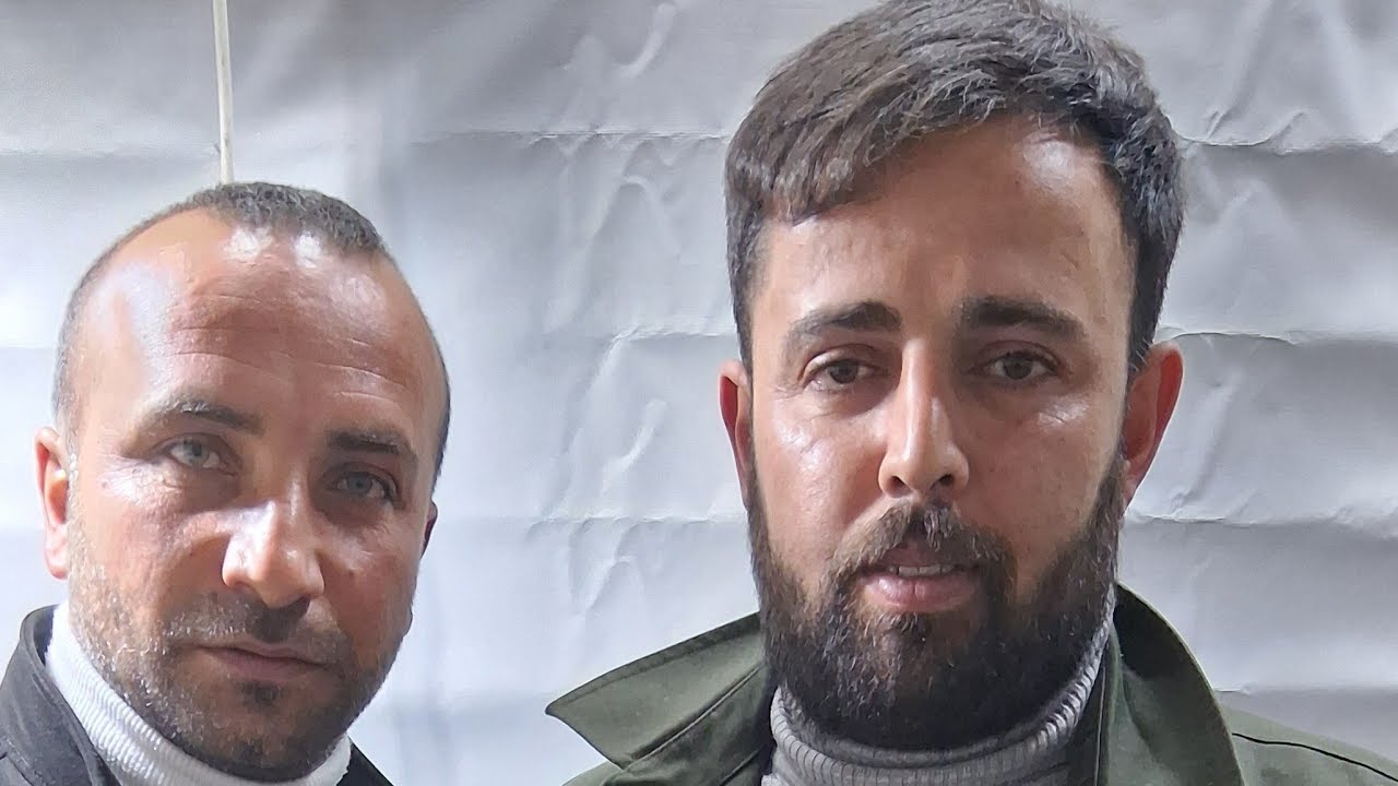 Canlı Güvercin Taklacı Oyun Kuşu Mezatı