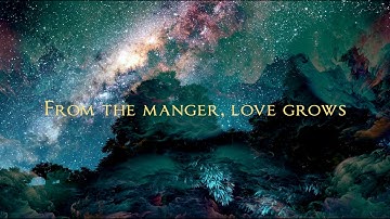 From the Manger Advent Hymn (Official Lyric Video)