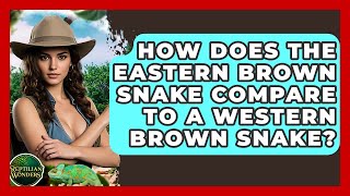 How Does The Eastern Brown Snake Compare To A Western Brown Snake - Reptilian Wonders