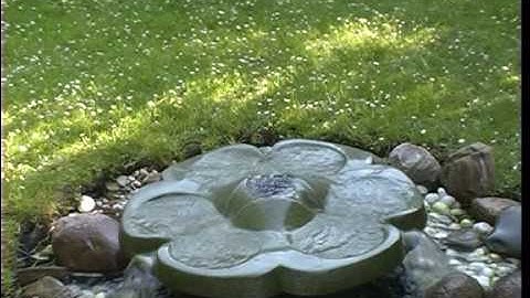 diverse_Flowforms_in_motion-YouTube.mov