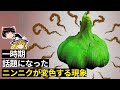 放置しただけでニンニクが鮮やかな緑色に変色する原理【ゆっくり科学】
