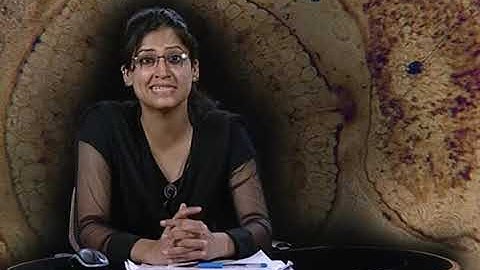 Rhynia: morphology, anatomy and reproduction