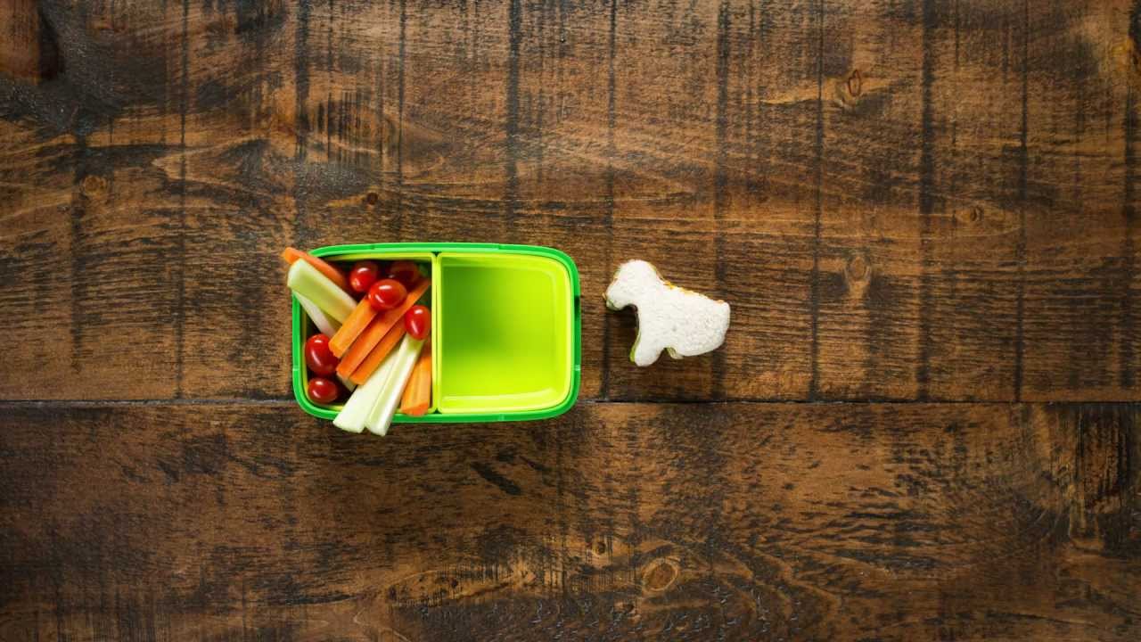 How to make animalshaped sandwiches for school lunch YouTube