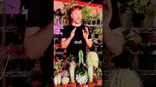 real and fake challenge #mrbeast #money #challenge #funny #shorts