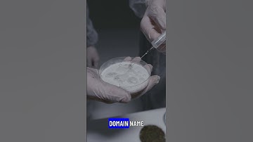 DNS Poisoning A Cybersecurity Threat