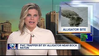 Alligator trapper bitten by gator in western Boca Raton