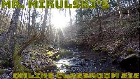 Graphing Special Case Lines