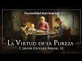 La Pureza | 4 | Fecundidad Matrimonial | P. Javier Olivera Ravasi, SE
