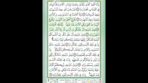 #سورة الروم#الآيات_١٩_٢٠#تلاوة الشيخ أيمن سويد#قليل دائم خير