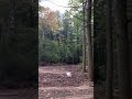 Johnny Martin trail