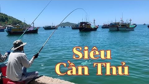 Câu Cá Dìa Biển. Câu Cá Giải Trí Cùng Các Siêu Cần Thủ Trên Cảng Đại Lãnh