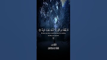 قرآن كريم بصوت جميل #QORAN_KAREEM #المصحف #اكسبلور #القرآن_الكريم #القران_الكريم #القران #لايك