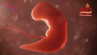 How to Overcome Recurrent Pregnancy Loss (RPL) | Dr. Priyankur Roy Explains