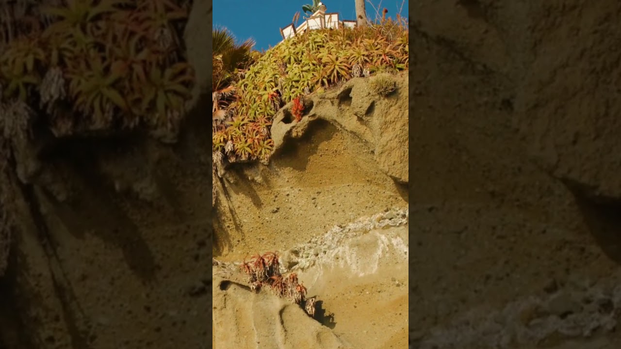 Immortality Quest: Stem Cell Breakthroughs 