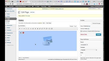 Fixing the Disappearing Wordpress Gallery Icon Fix for Artists