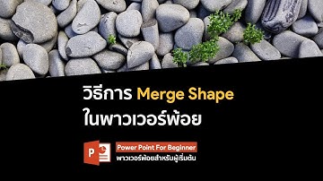 วิธีใช้งานคำสั่ง Merge Shape แบบง่ายๆ