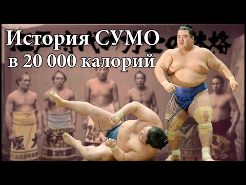 История Борьбы Сумо. Питание Сумоиста 20 000 калорий в день! Почему Сумотори не были толстыми?