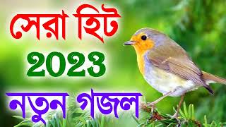 12 নতুন গজল সেরা গজল   New Bangla Gazal, 2023 Ghazal   New Gojol Islamic Gazal 2023