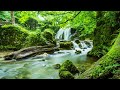 River Water Flow White Noise For Sleep, Studying and Focus | 1 Hour Nature Sound For Relaxation