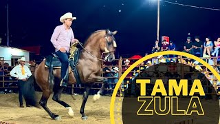 🏆CONCURSO DE CABALLOS BAILADORES EN TAMAZULA DURANGO