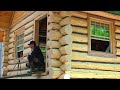 Natural Log Finish that will Outlast the Century! Here's how... / Log Cabin Update- Ep 13.25