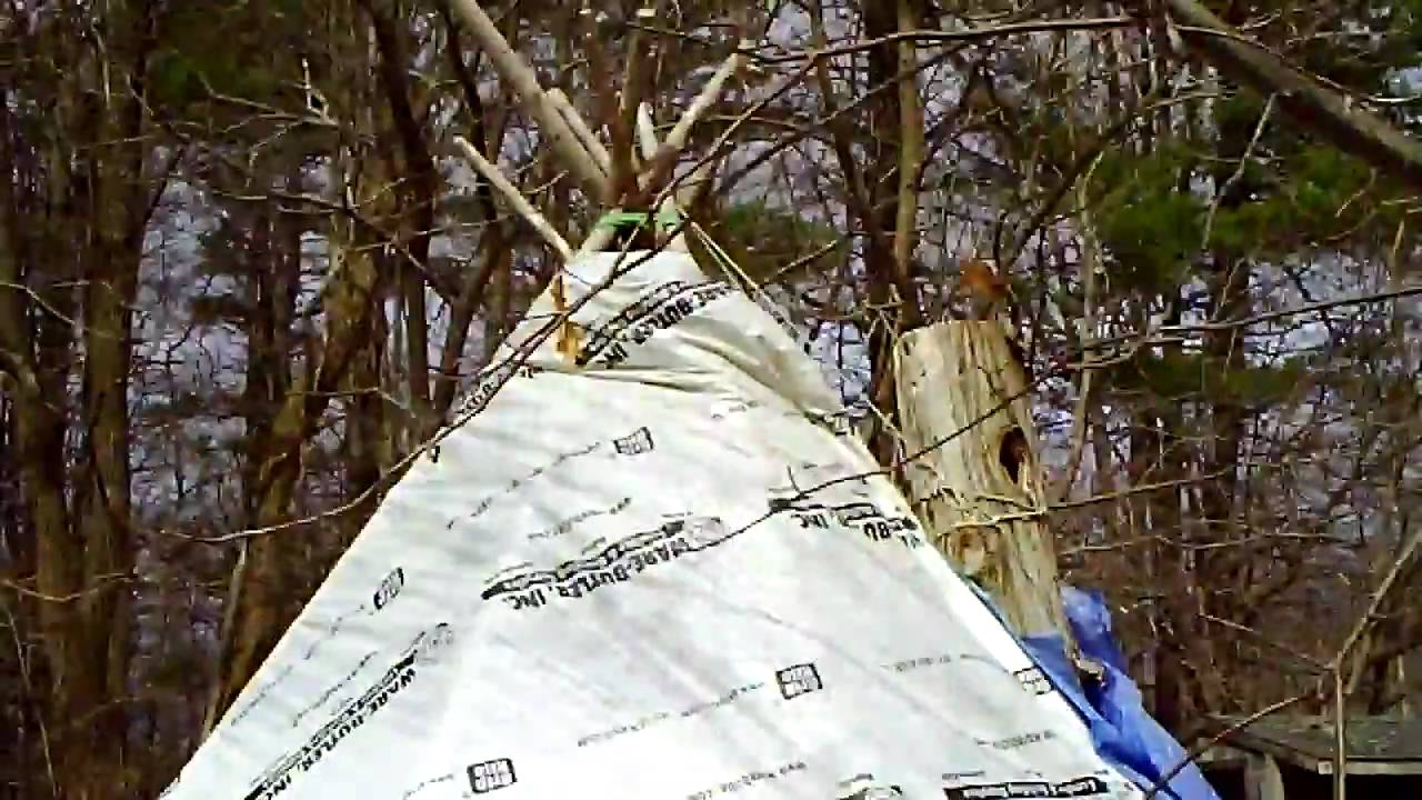 The Plant Whisperer speaks out. YouTube