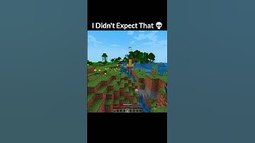 Minecraft unexpected moment