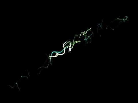 [Test001] Trapcode Particular & Sound Keys