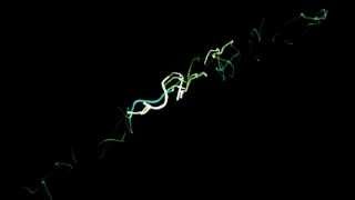[Test001] Trapcode Particular & Sound Keys