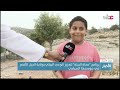 برنامج حماة البيئة لتعزيز الوعي البيئي بولاية الجبل الأخضر في موسمها السياحي برنامج حماة البيئة لتعزيز الوعي البيئي بولاية الجبل الأخضر في موسمها السياحي