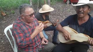 Cururu no Rio dos Couros - Cuiabá MT(2)