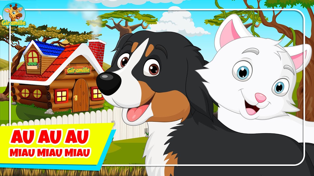 Au Miau 🐶 Pegar mosca 🐱 Filme de desenho animado 