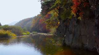 Can River Sounds Really Help You Relax in Just 5 Minutes?