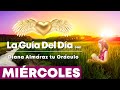 Oráculo Espíritu Nativo | Diana Almaráz 🌸