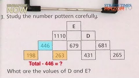 Can you solve this Primary 3 math problem?