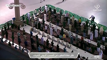 ماتيسر من سورة فاطر للشيخ صلاح البدير | مغرب الخميس ٢٦ جمادى الأول ١٤٤٣ هـ