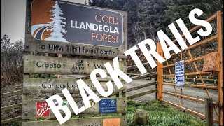 Llandegla MTB Black Trails