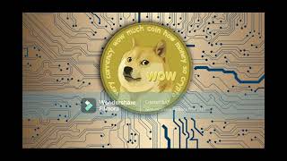 Doge Coin Today Bitcoin News