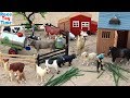 Cattle transport truck toy farm plus fun toy animals