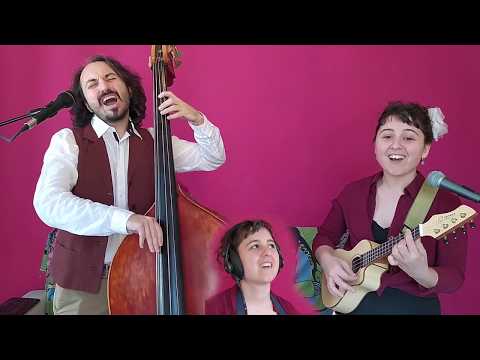 All Of Me - Ukulele & Double Bass & Guitar & Washboard - Sunny Side Duo