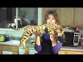 Deanna Lee Turns 50 And Kisses Her Cat On The Lips To Celebrate 2008 