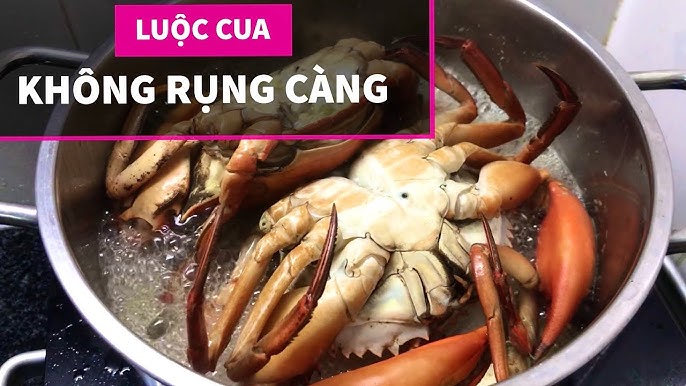 Luộc Tôm Không Rụng Càng - Mẹo Hay Để Có Món Tôm Luộc Tuyệt Đỉnh