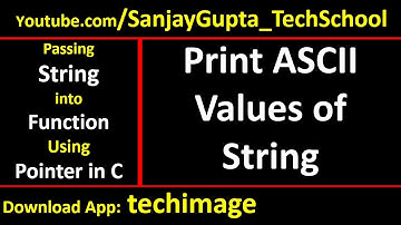 Print ASCII Value of string by passing string into function using pointer in c programming