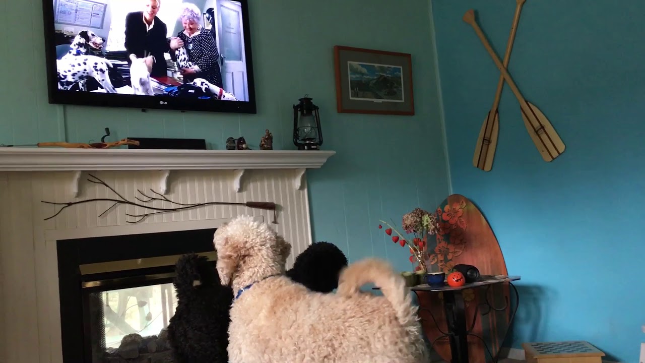 Pitch n snow on TV YouTube