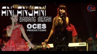 ANI ANJANI |  Bawang Merah