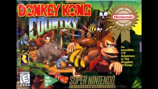 Video thumbnail of "DK Island Swing - Donkey Kong Country (David Wise) OST"