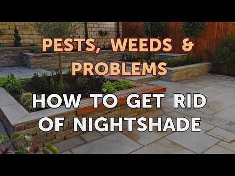 Video: How To Kill Nightshade In The Garden