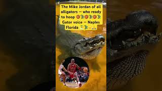 The Mike Jordan of all alligators who ready to hoop 🏀🐊🏀Gator voice #righteousrecords #bigtawno