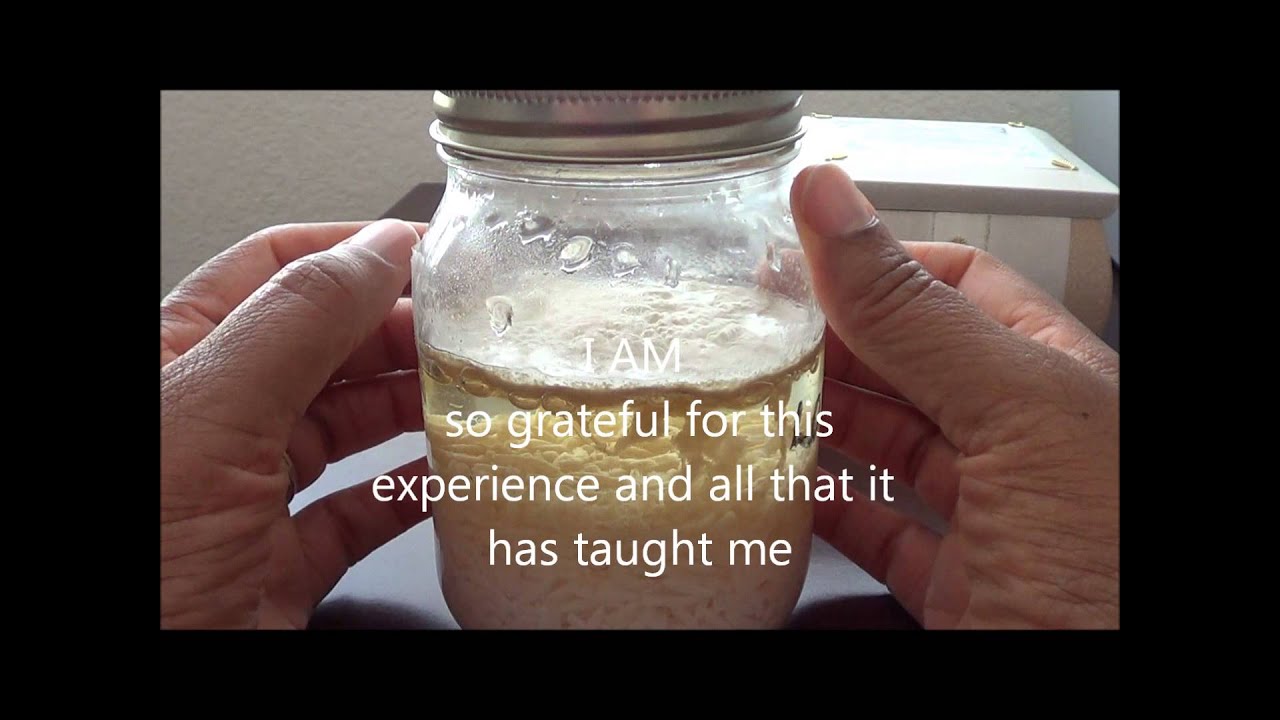 Day 142 Water Experiment Changing Negativity Using Positive Words YouTube