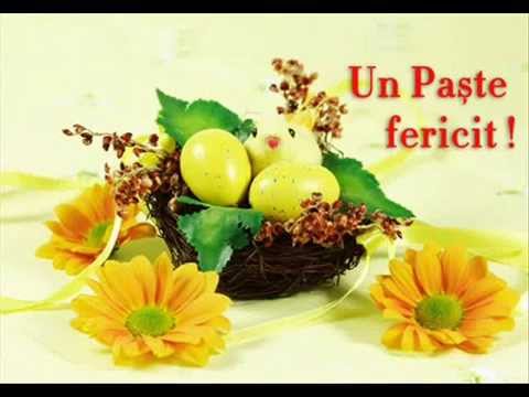 Poze De Pasti 2014 Youtube